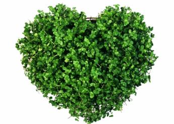 SMALTIMENTO TONER ESAUSTI
